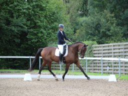 IMG_0275_web